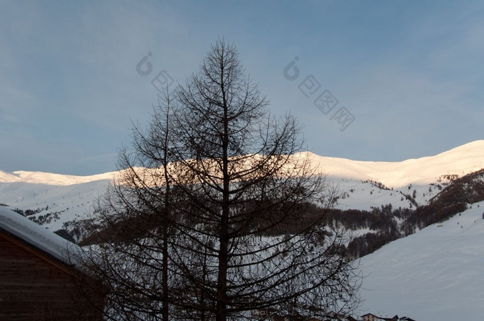 日出场景Livigno意大利阿尔卑斯山脉与树小屋而且雪山