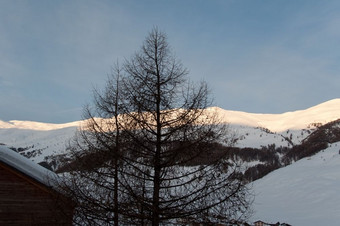 日<strong>出场</strong>景Livigno意大利阿尔卑斯山脉与树小屋而且雪山