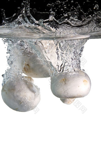 三个蘑菇水三个蘑菇扔水与黑色的而且白色背景
