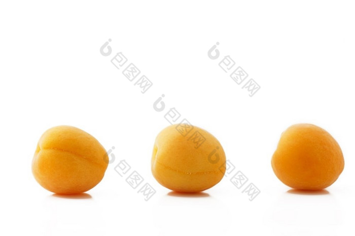 三个杏子行三个杏子行白色背景