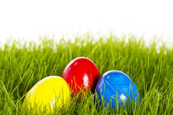 三个复活节鸡蛋与软焦点草三个复活节鸡蛋与软焦点草白色背景