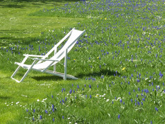 甲板椅子站草坪上虚线与花