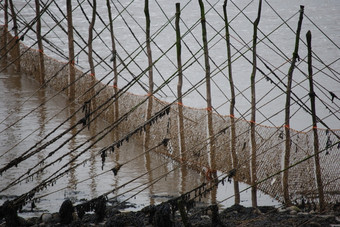 钓鱼网见过附近Creetown苏格兰会出从的海滩成的弗斯