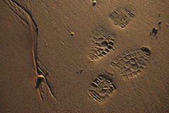 跟踪的足迹的湿沙子海滩