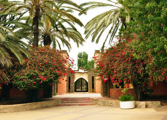 agadir城市摩洛哥Olhao公园地震博物馆入口