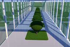 温室与植物内部视图渲染广场图像
