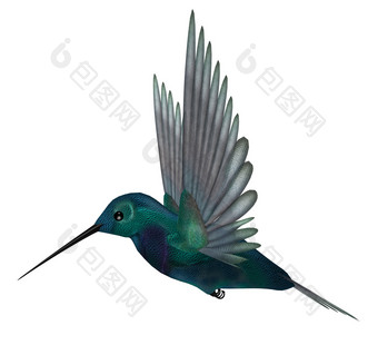 蓝色的绿色蜂鸟有才华横溢的彩虹色的羽毛和长纤<strong>细</strong>的账单翅膀是传播为<strong>振动</strong>飞行