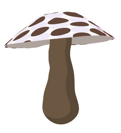波尔卡虚线蘑菇白色背景