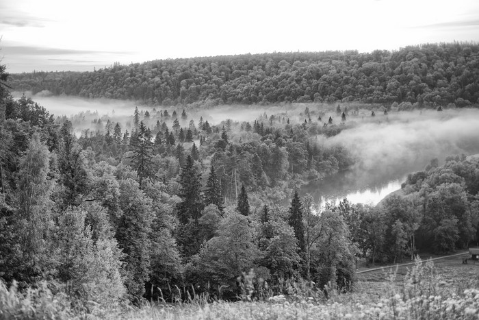 森林与雾和河森林与雾和河图片