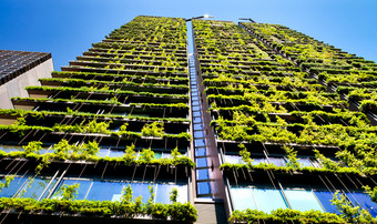 绿色摩天大楼建筑与植物日益增长的的外观对蓝色的天空生态和绿色生活城市城市环境概念