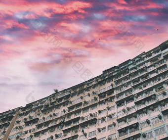 在香港香港中国低角视图拥挤的住宅塔采石场湾在香港香港风景过度拥挤的狭窄的公寓高住房密度