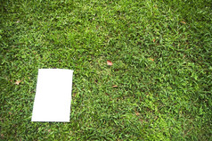 白色董事会草场为消息显示剪裁路径的白色董事会