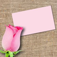 一个粉红色的玫瑰而且张留言卡纺织背景特写镜头工作室摄影