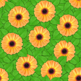 摘要背景橙色花而且绿色叶无缝的模式为你的设计特写镜头工作室摄影