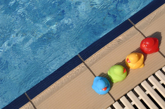 四个色彩斑斓的橡胶鸭子的池一边孩子们玩具