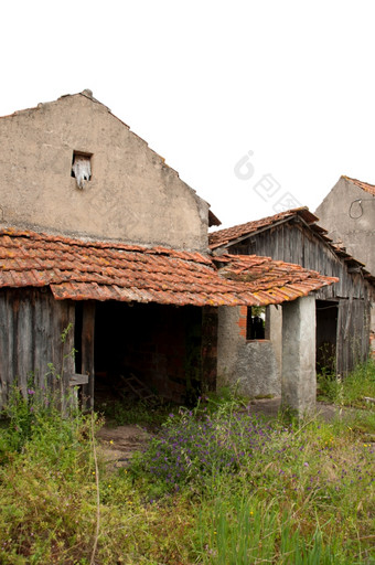 被遗弃的老房子的农村前的图片孤立的白色