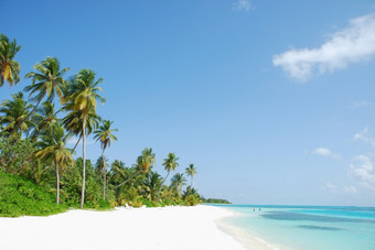 美丽的场景海滩马尔代夫的岛