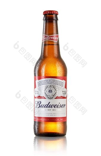 这些洛杉矶美国7月照片瓶<strong>百威</strong>啤酒啤酒白色背景与反射美国层第一个介绍了