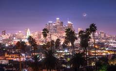 美丽的晚上这些洛杉矶市中心和棕榈树前景