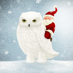 圣诞老人老人游乐设施大白色猫头鹰