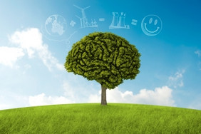 树的形状大脑认为环境解决方案