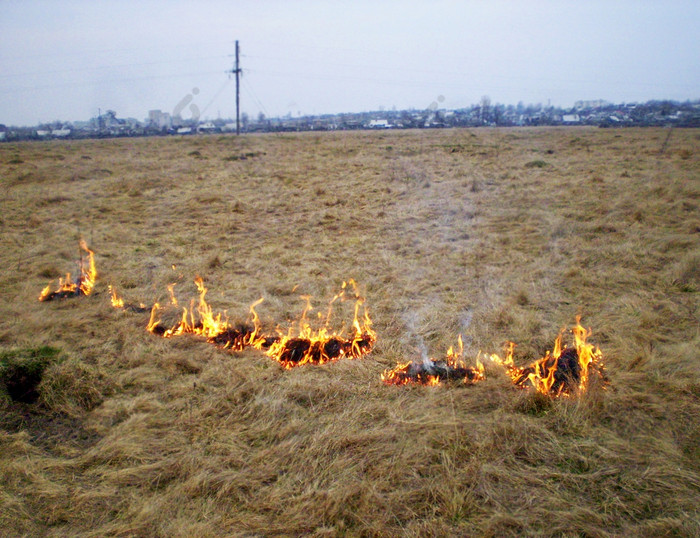 集火的干草的前景明亮的橙色火焰迅速传播火的背景的结算哪一个威胁灾难