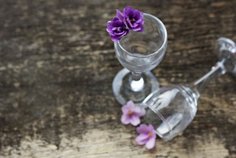 的花是紫罗兰花backgroundthe花的玻璃几小紫罗兰色的花透明的玻璃glassesglasses的木表面