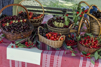 盛宴樱桃水果的丘斯滕迪尔陈述出他们的生产生水果保加利亚