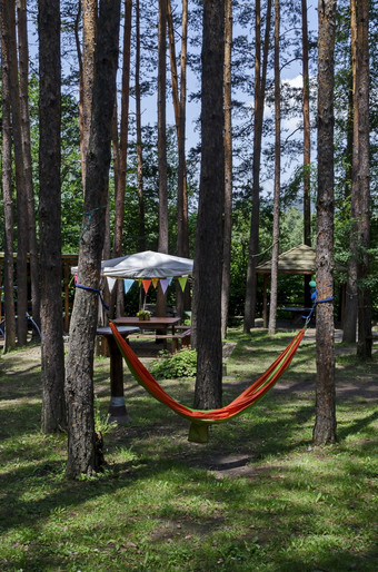夏天孩子公共露营与凹室和组合成的吊床的松柏科的森林附近主教村保加利亚