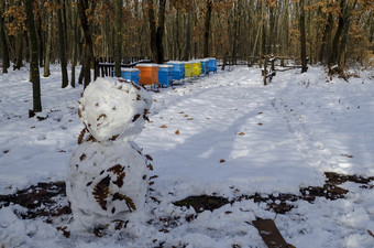 雪视图向养蜂场与<strong>蜜</strong>蜂蜂巢和雪人的<strong>冬</strong>天场落叶森林扎维特小镇保加利亚