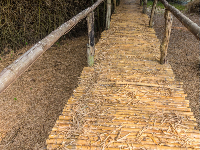 竹子桥与丛竹子泰国图片