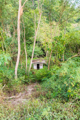 放弃小厕所。。。森林泰国