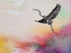 特写镜头颜色和纹理水彩paperwith画飞行紫色的鹭鸟