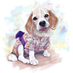 可爱的小猎犬号穿可爱的服装日本风格坐着构成与色彩斑斓的背景数字绘画