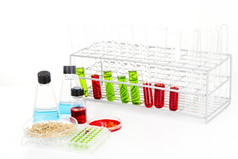 实验室科学实验室设备包含彩色的液体实验