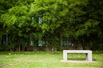 板凳上座位而且竹子椅子的草坪上绿色在的公园