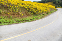 曲线路的山与花的路边前面的山而且森林