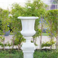 白色花园园艺锅和装饰的花园