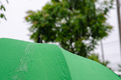雨的绿色伞下降水