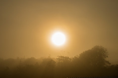 日出多雾的特写镜头