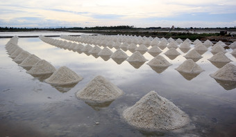 堆海盐盐农场