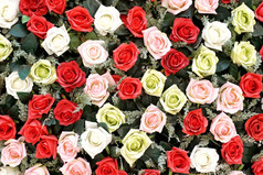 色彩斑斓的玫瑰人工花背景