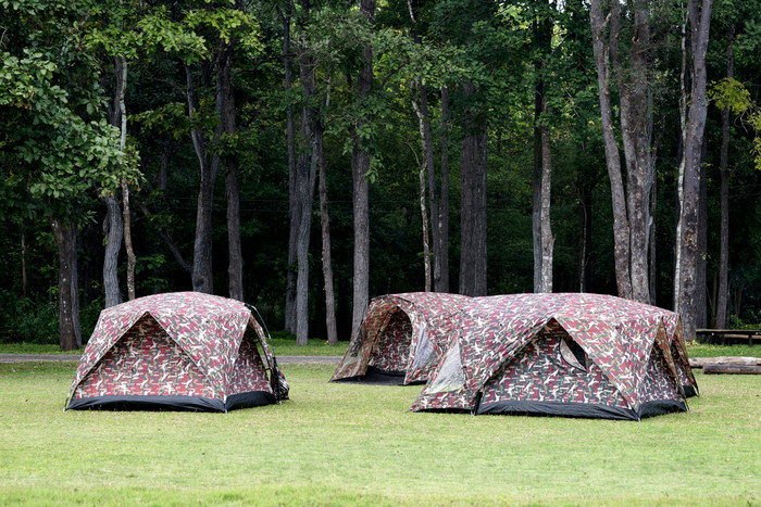 野营帐篷的户外营网站与树图片
