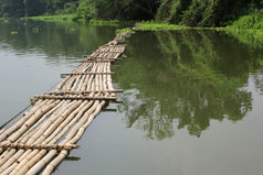 照片老竹子桥在的河老竹子桥在的河