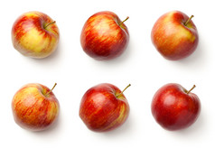 苹果孤立的白色背景jonagold苹果前视图苹果孤立的白色背景