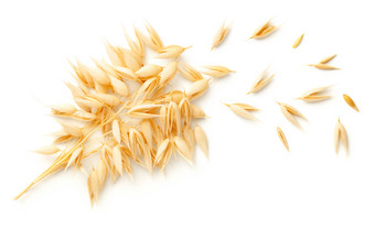 燕麦植物群孤立的白色背景前视图平躺