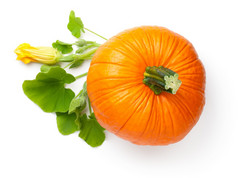 新鲜的橙色南瓜蔬菜与花和绿色叶子孤立的白色背景前视图