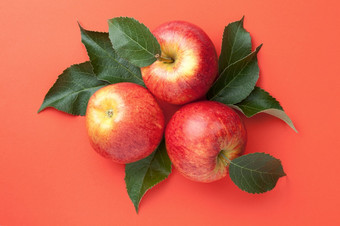 红色的苹果与叶子在纸背景联欢晚会苹果作文前视图