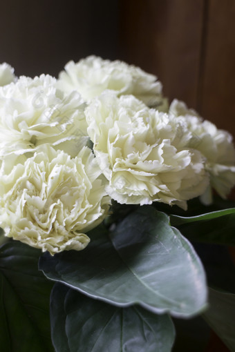 白色康乃馨花的花瓶白色康乃馨花的花瓶股票照片