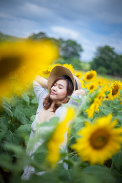 年轻的亚洲女人向日葵场